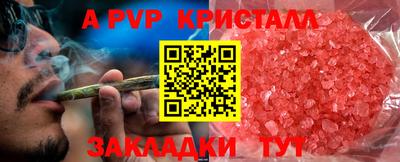 стаф Малгобек
