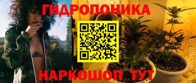 2c-b Лесосибирск
